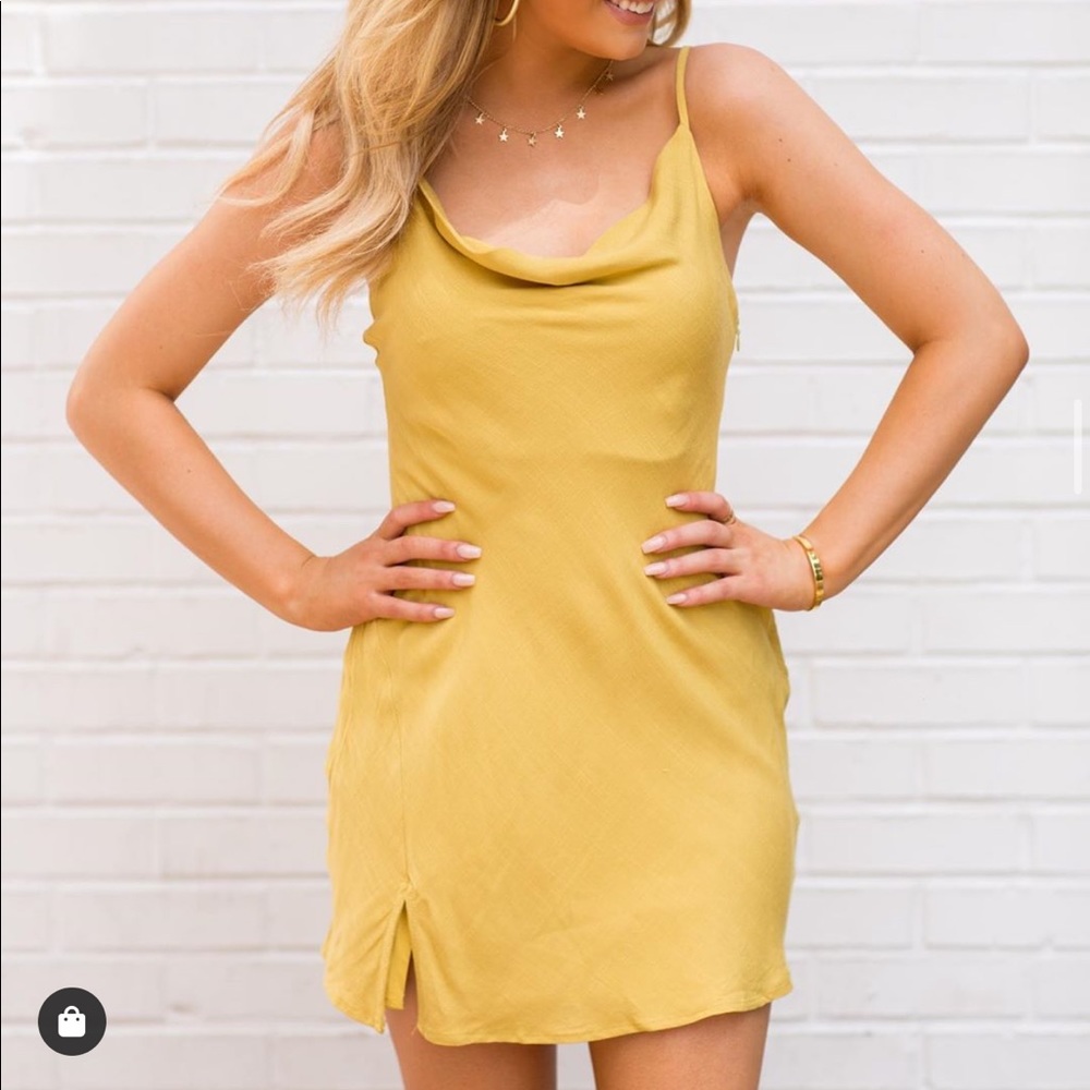 The Impeccable pig dress NWT